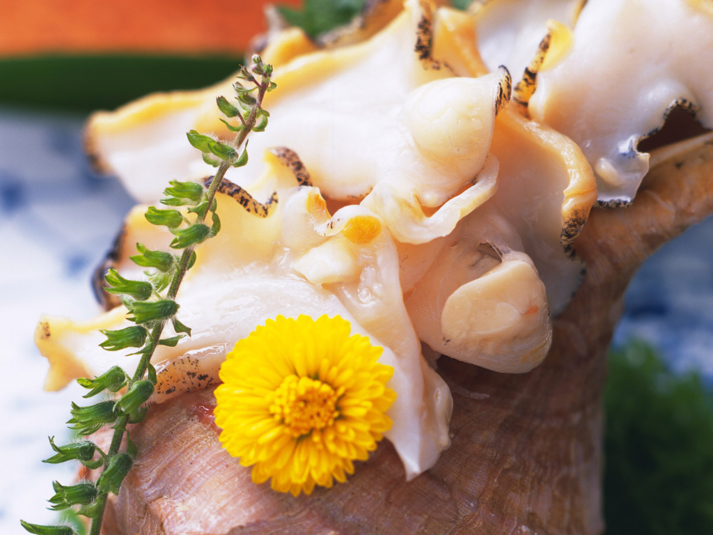 вкусный кальмар