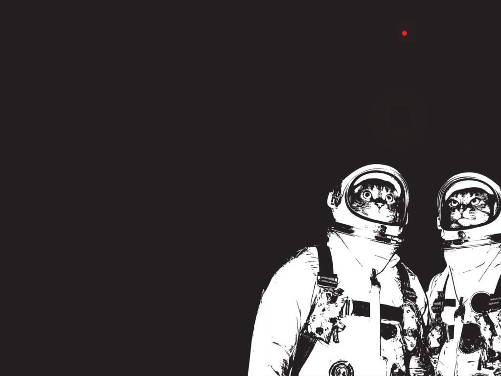 Коты космонавты