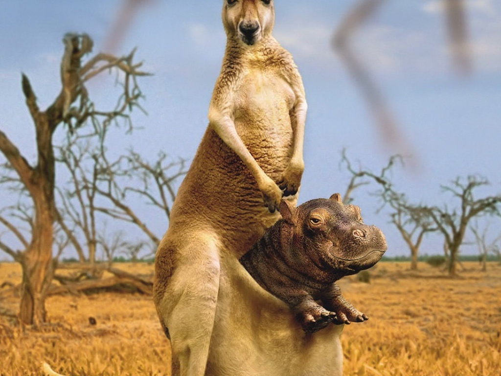 Приемный сын