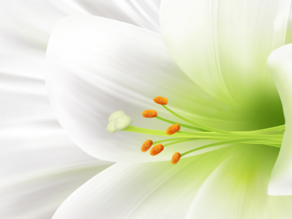 Пасхальный цветок