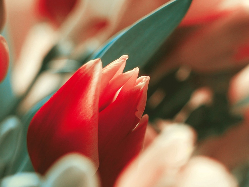 С днем 8 марта!