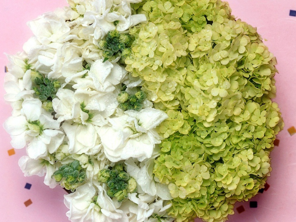 Всемирный Женский День