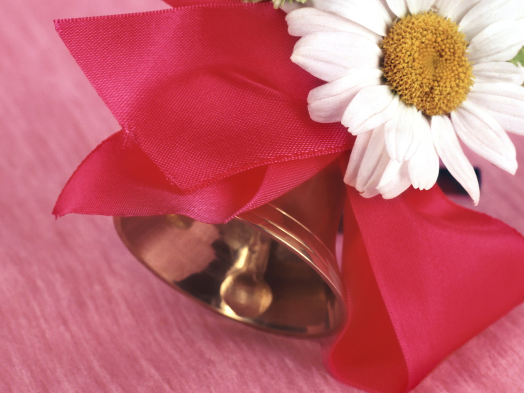 Начало учебы