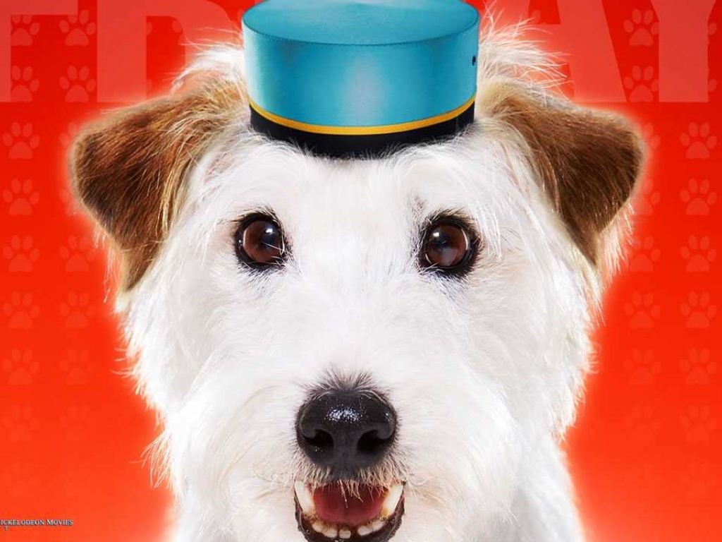 Отель для собак  комедия 2009 года / Hotel for Dogs