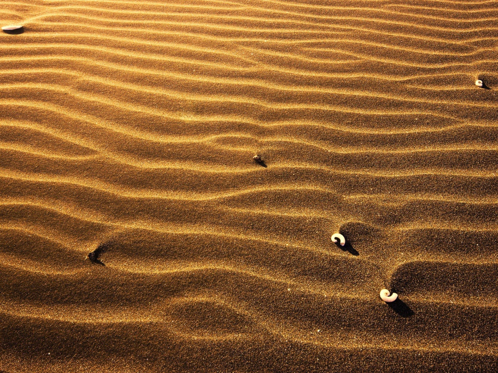 Пляжный песок