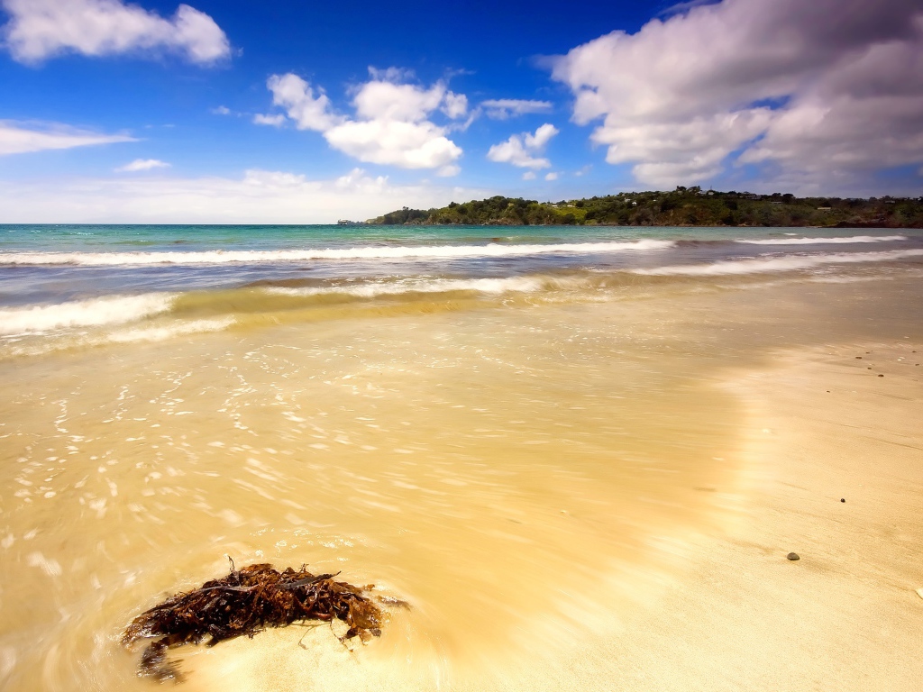 Летний день на пляже