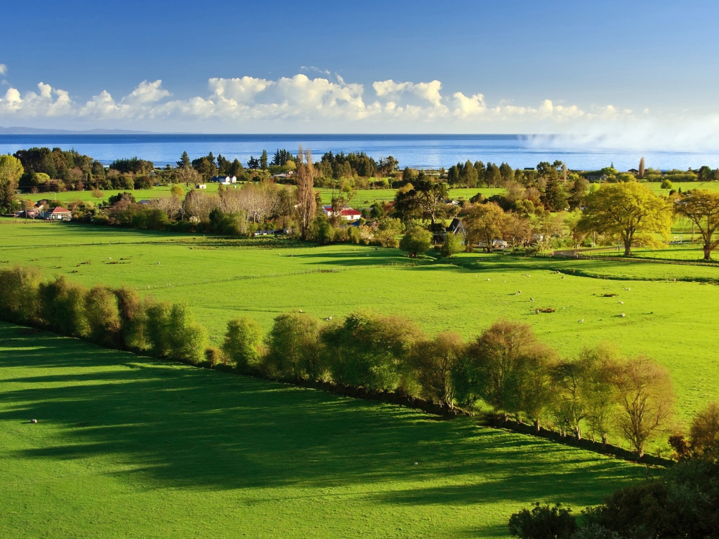 Утро в деревне