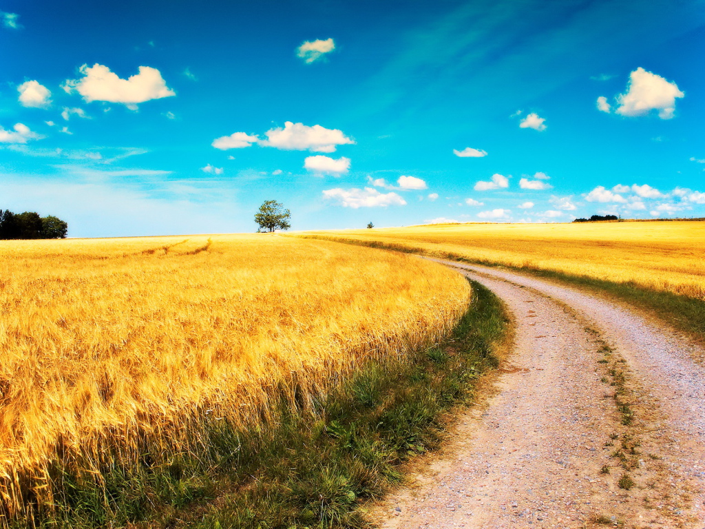 Дорога среди полей