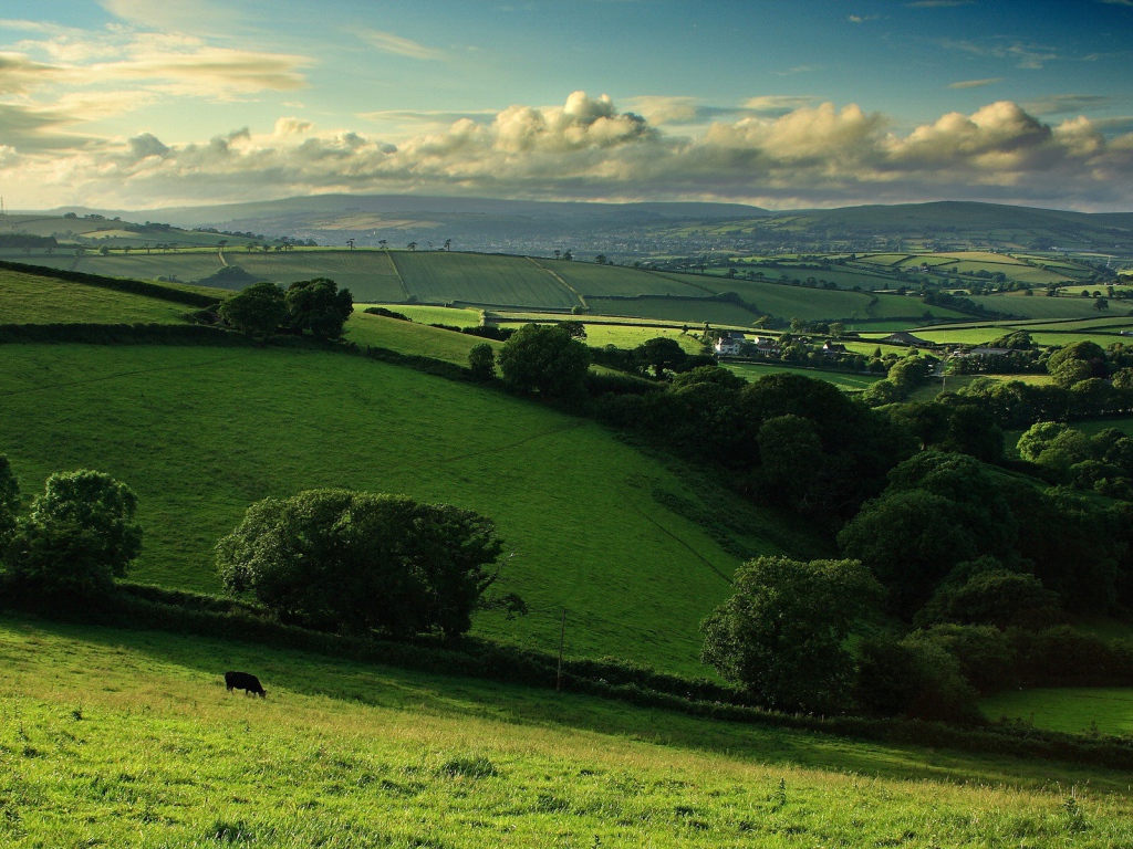 Деревенские поля