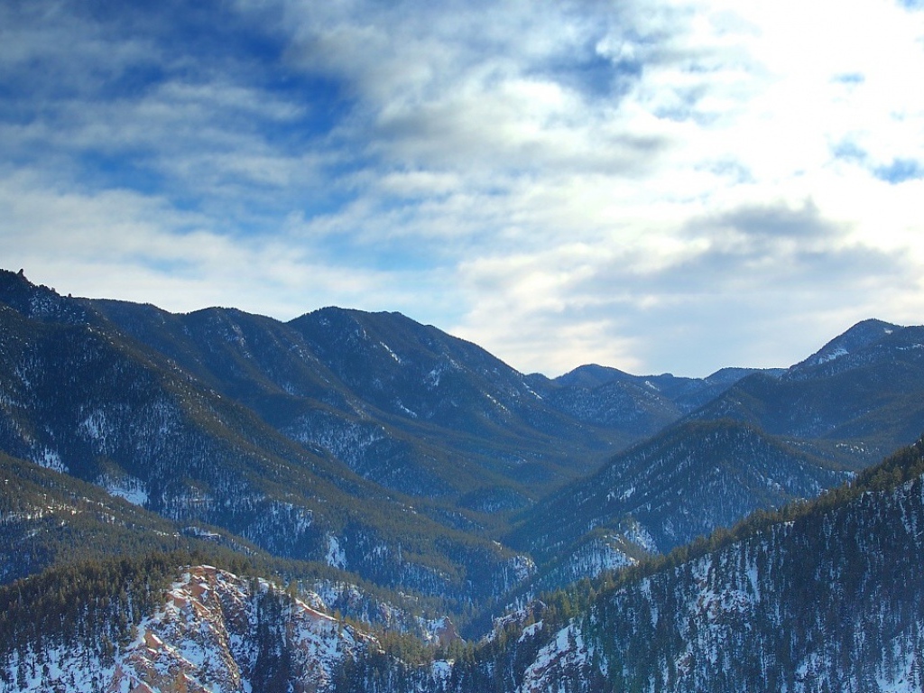 Лес в горах