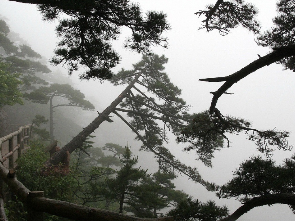 Горная дорожка