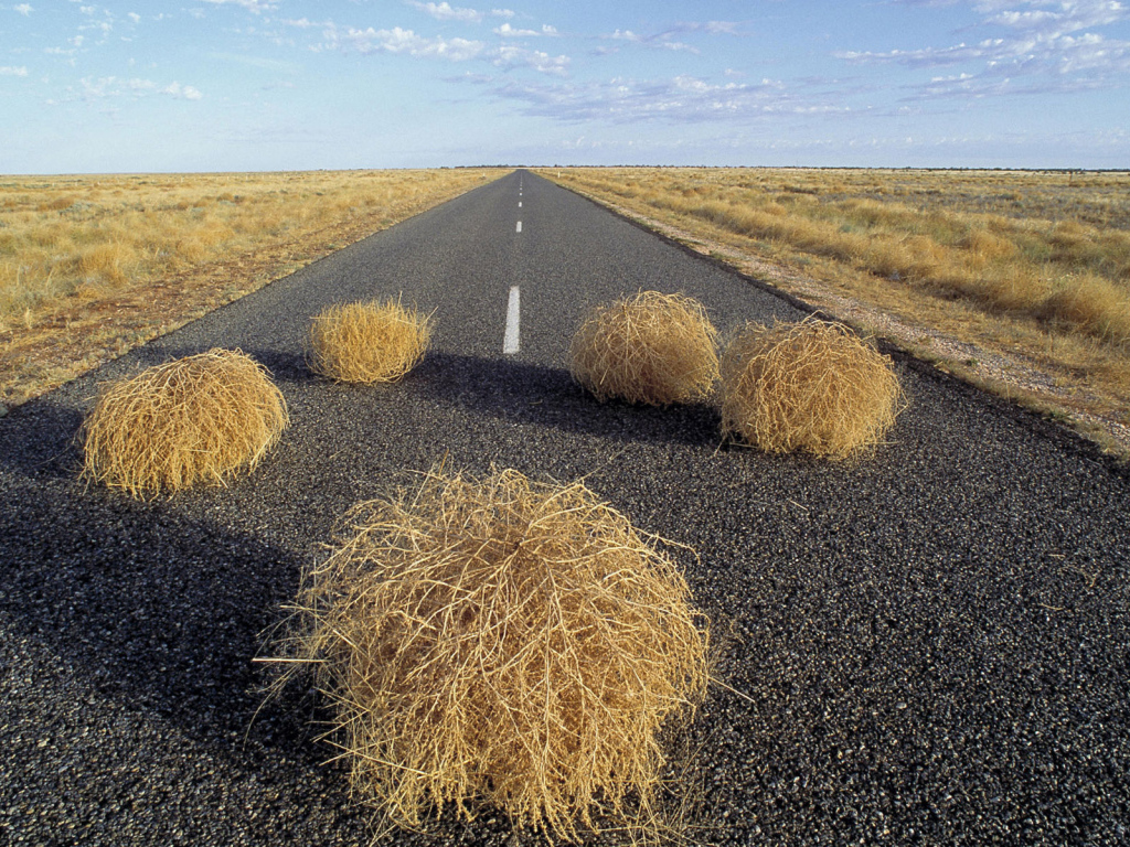 Дорога через пустыню