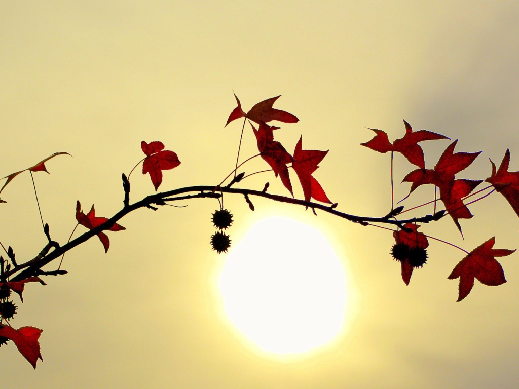 Заходящее солнце