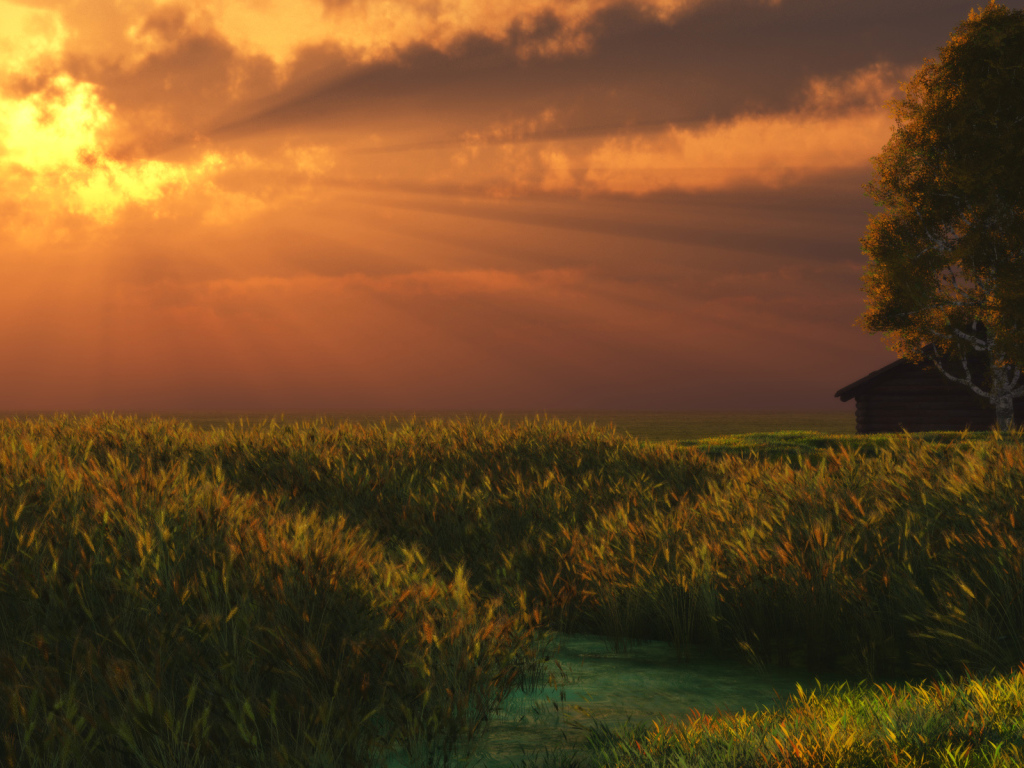 Летний вечер