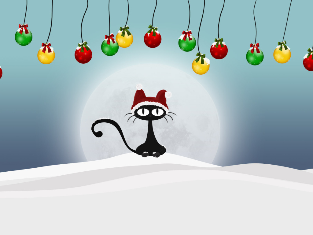 Кот на снегу