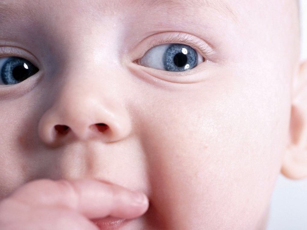 Любознательный малыш