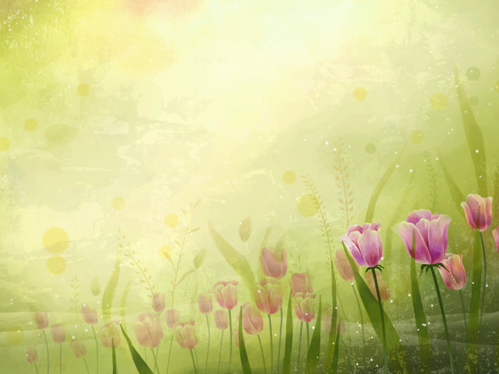 Поле цветов