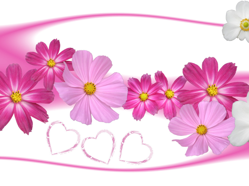 Цветы и сердца