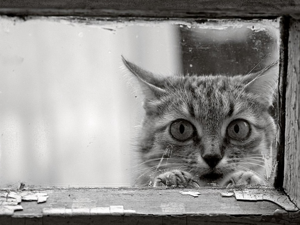 Возле окошка