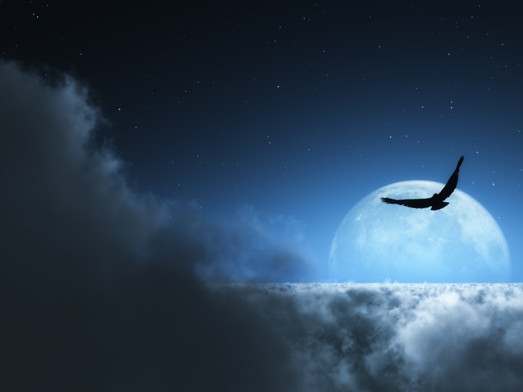 На фоне луны