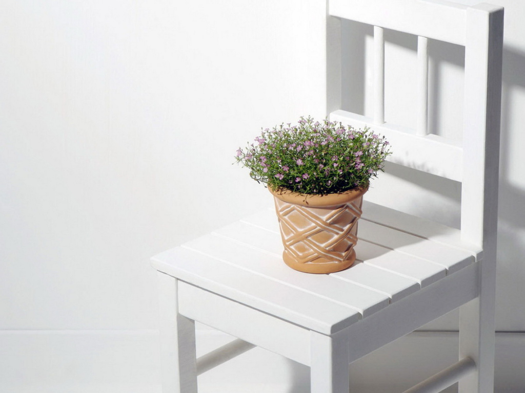 Горшок с цветком на стуле