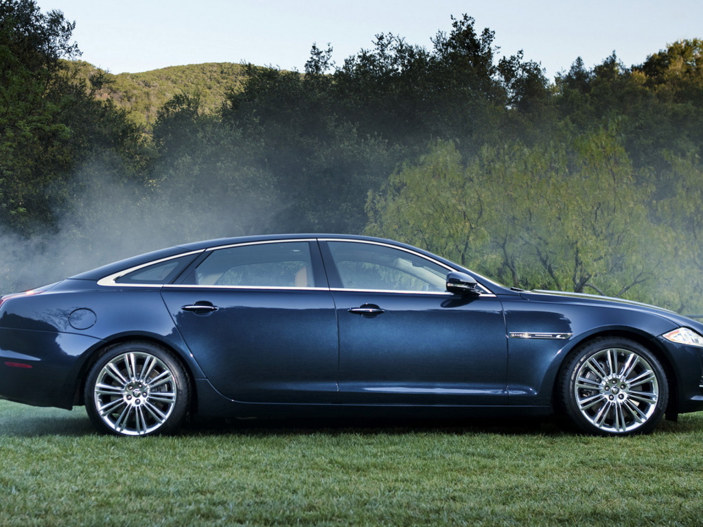 Ягуар XJ в лесу