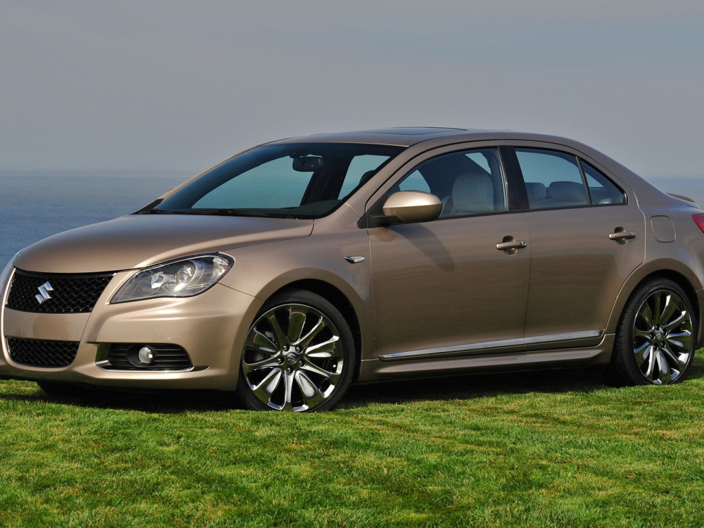 Сузуки Кизаши на газоне среди зелени