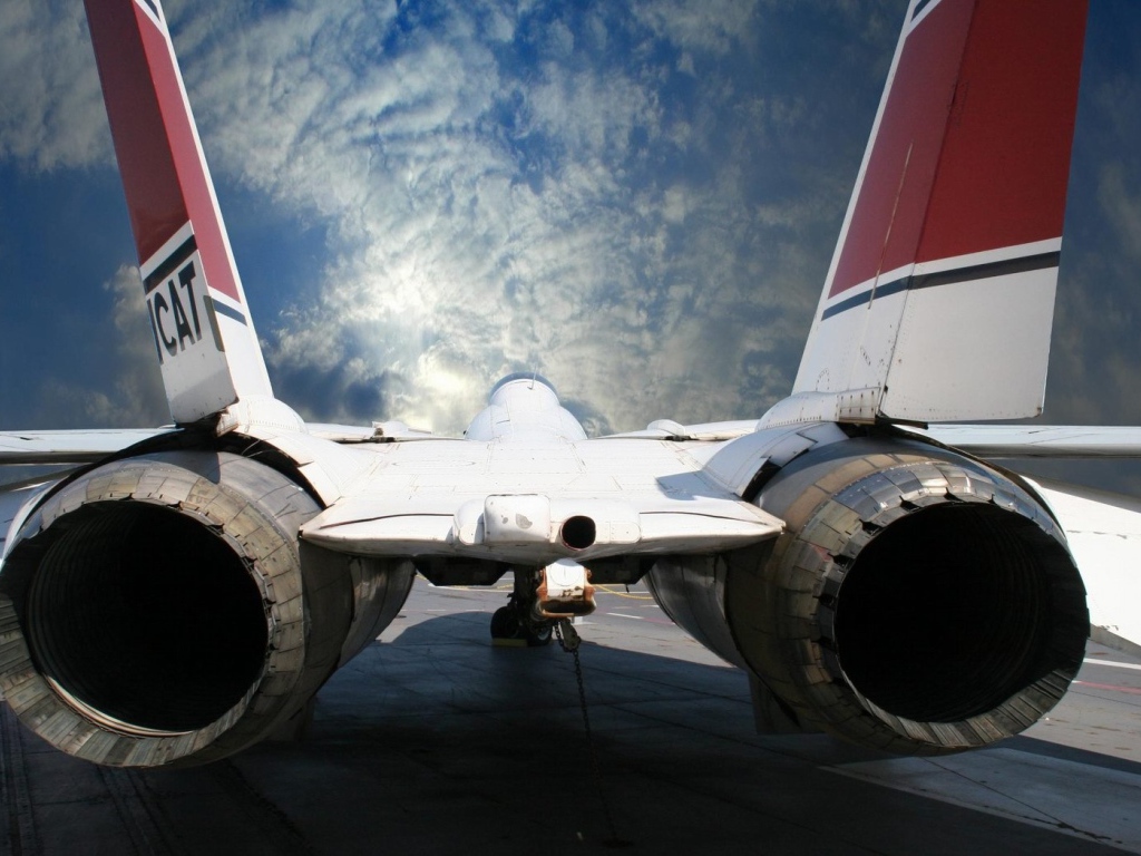 Реактивная, птичка