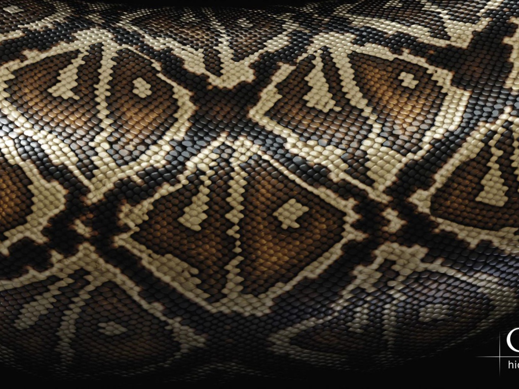 Змеиная кожа