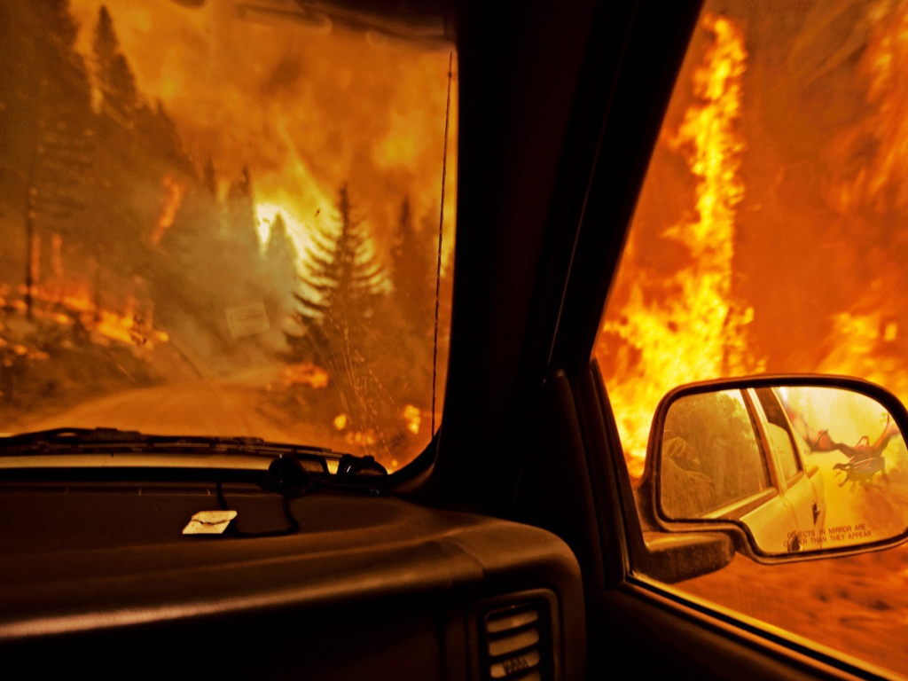 Лесной пожар