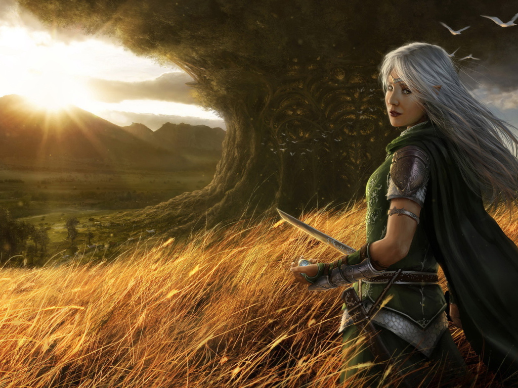 Прогуливаясь по полю