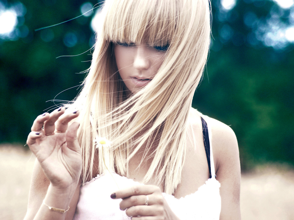 Гадая на ромашке