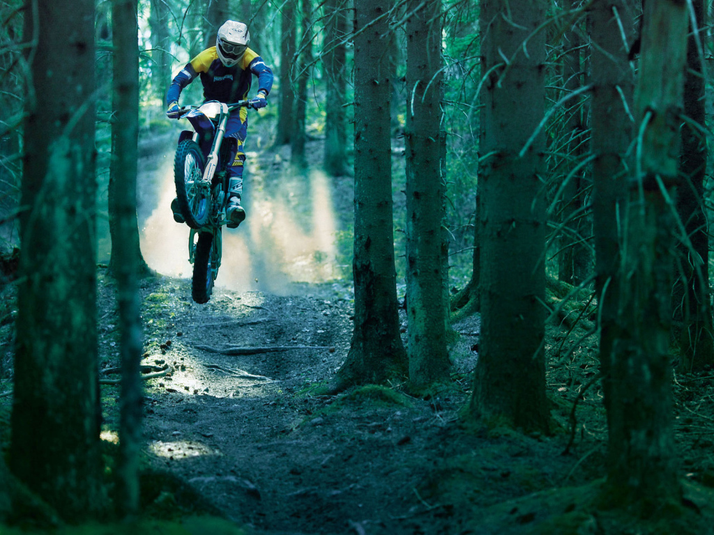 Гонка в лесу