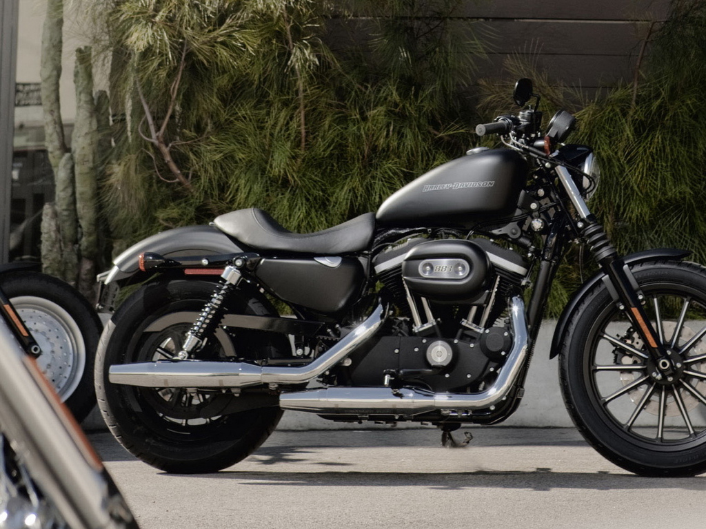 Харлей Девидсон 883