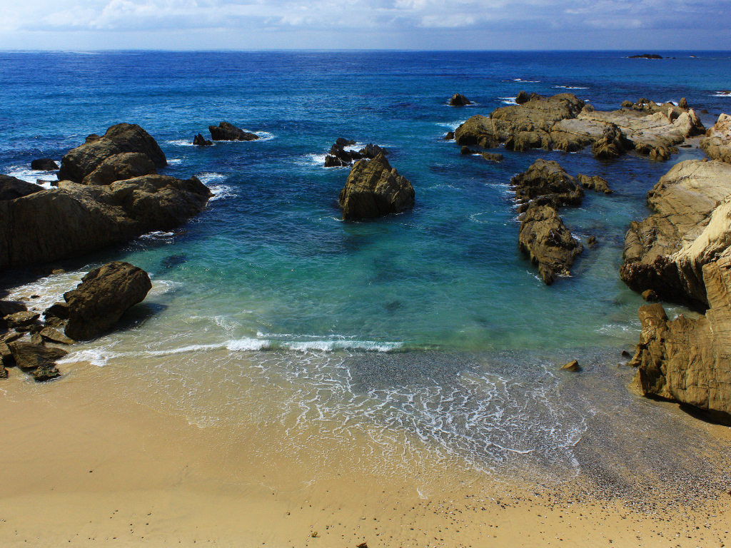 На берегу моря