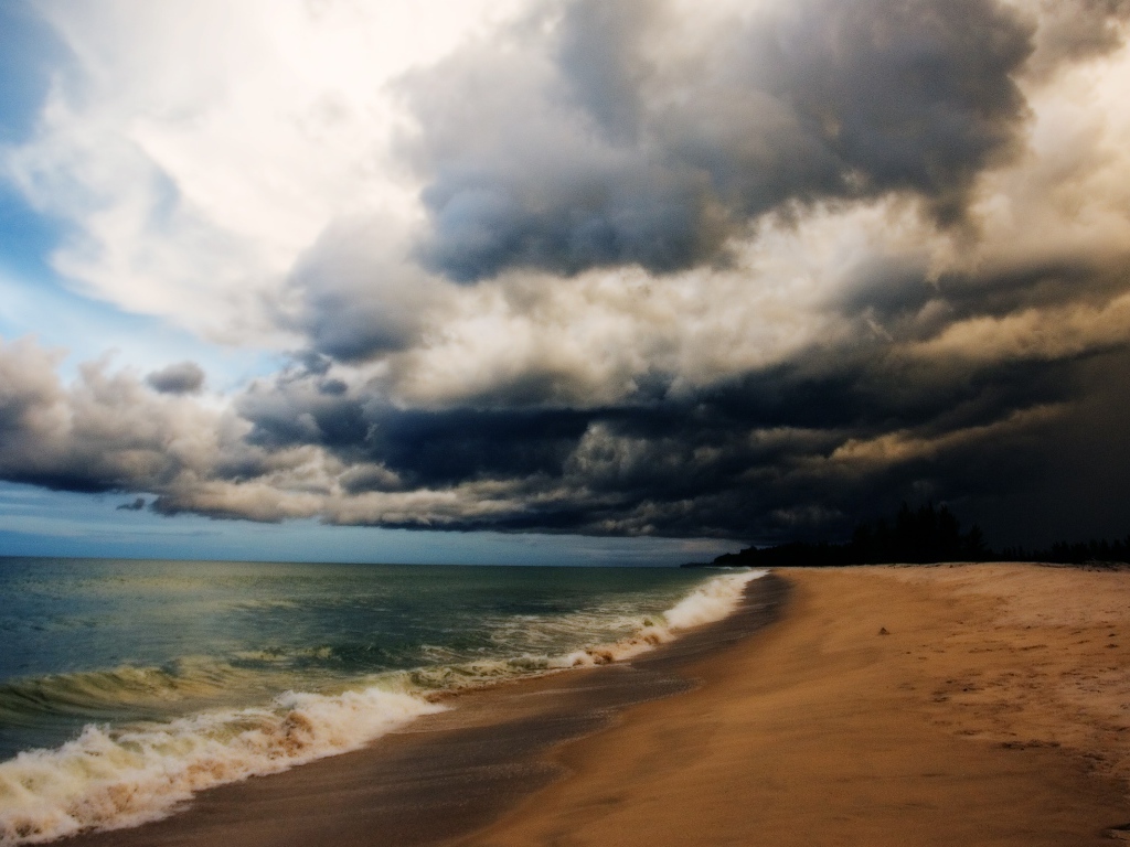 На пляже после шторма