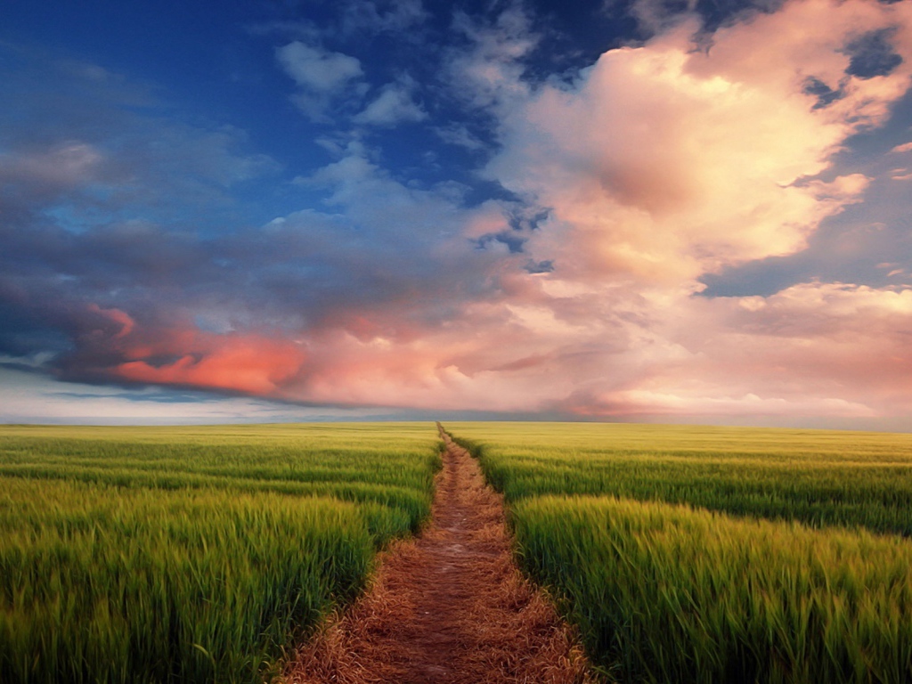 Тропинка через поле