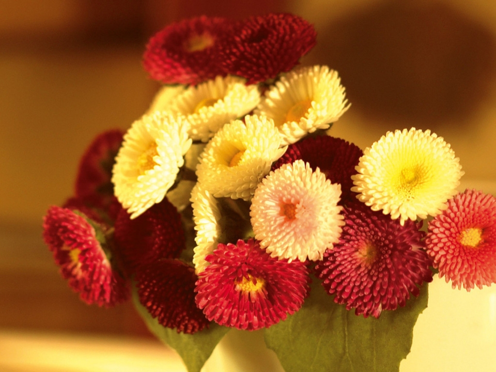 Маленький букетик