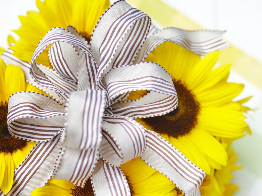 Солнечный подарок