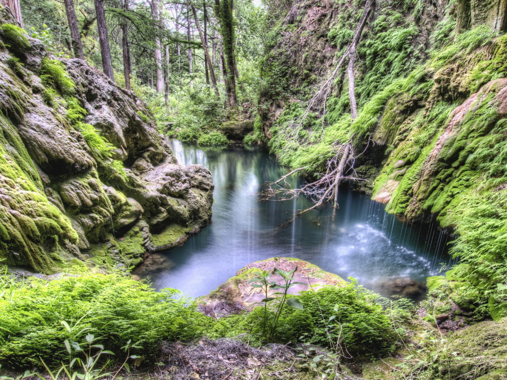 Лес, каменные склоны, ручей