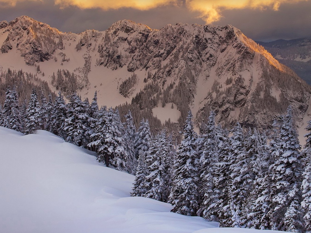 Горная свежесть