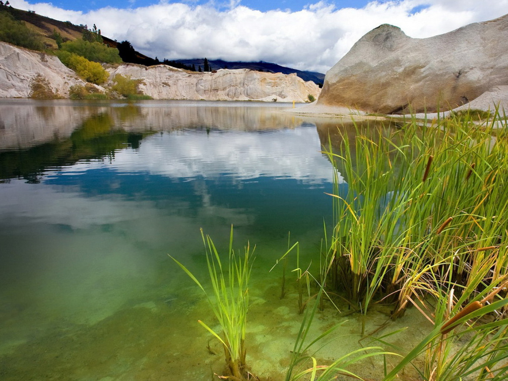 Зеленая вода