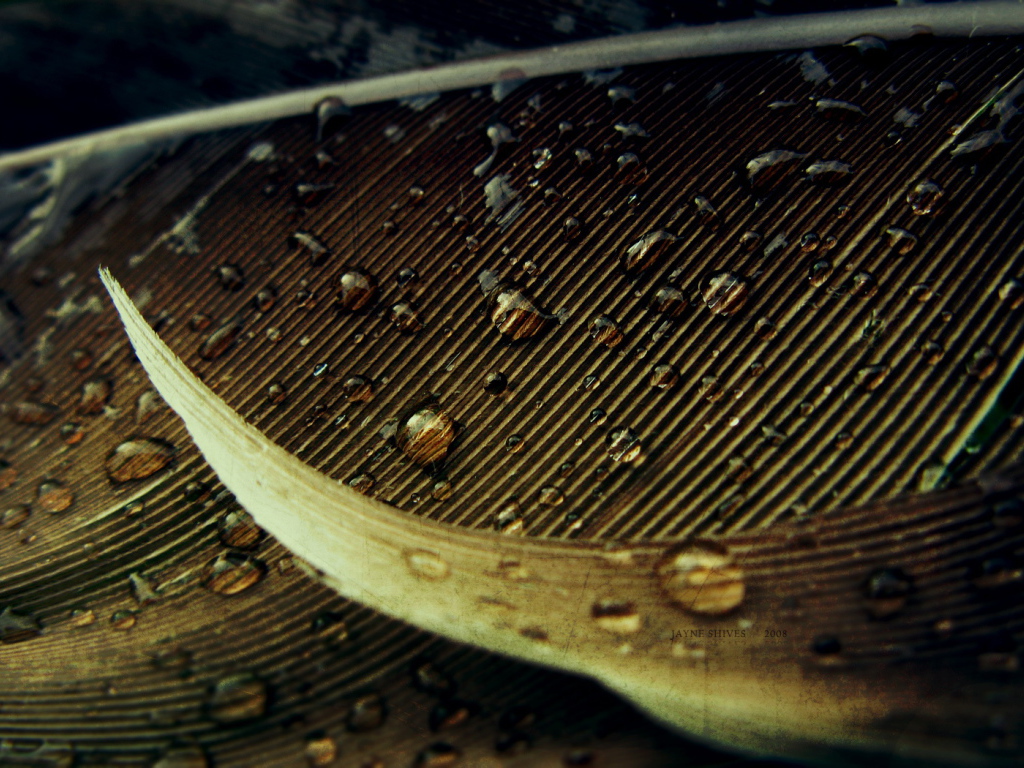 Капли на осеннем листе