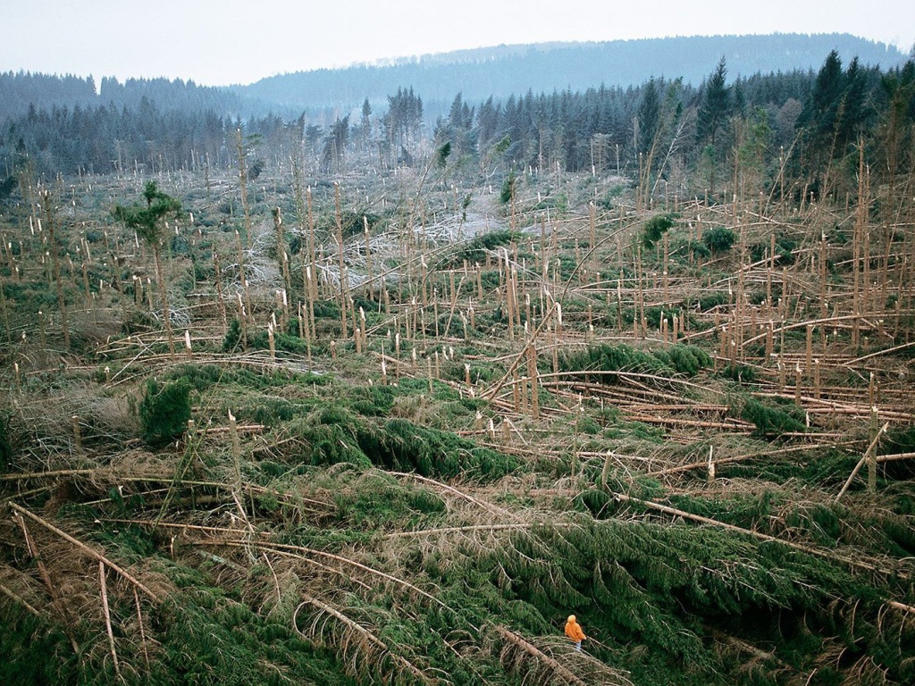 После урагана во Франции