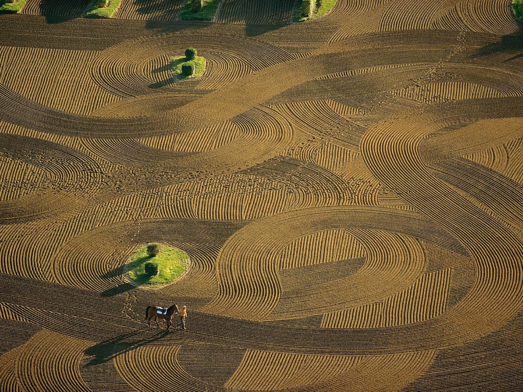 Лошадиная арена Франция