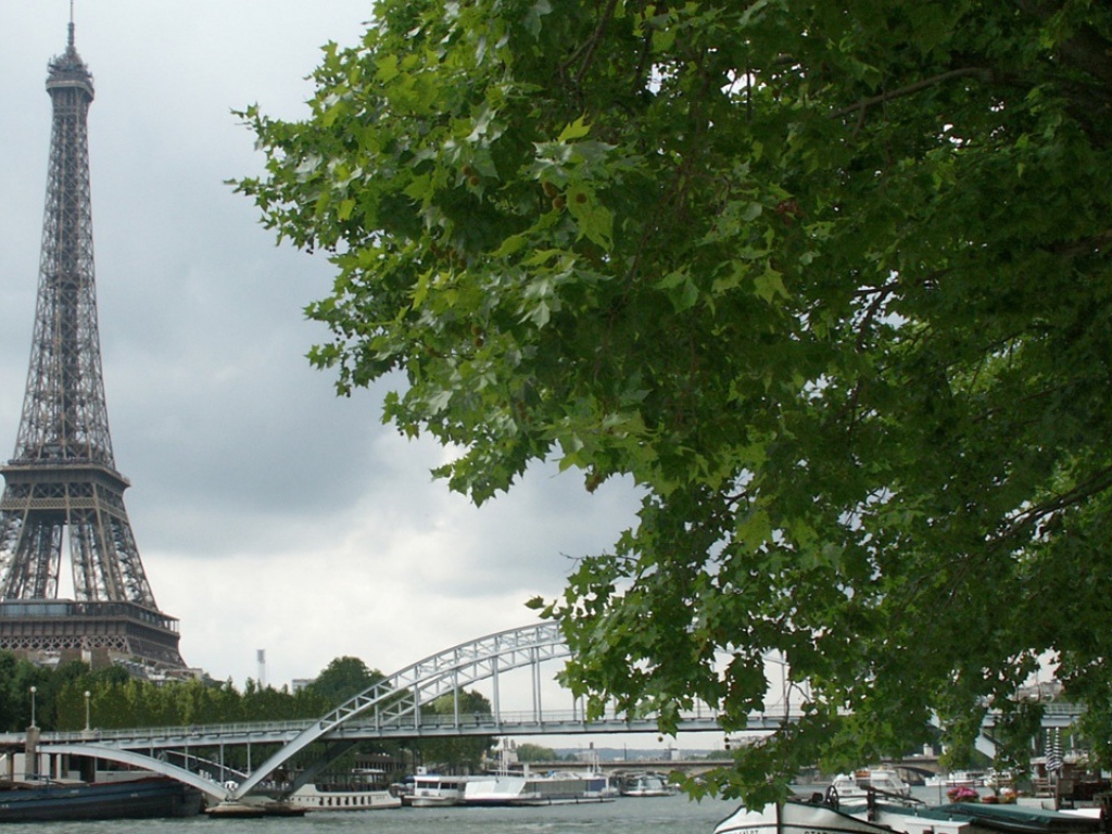 Вид на башню Париж