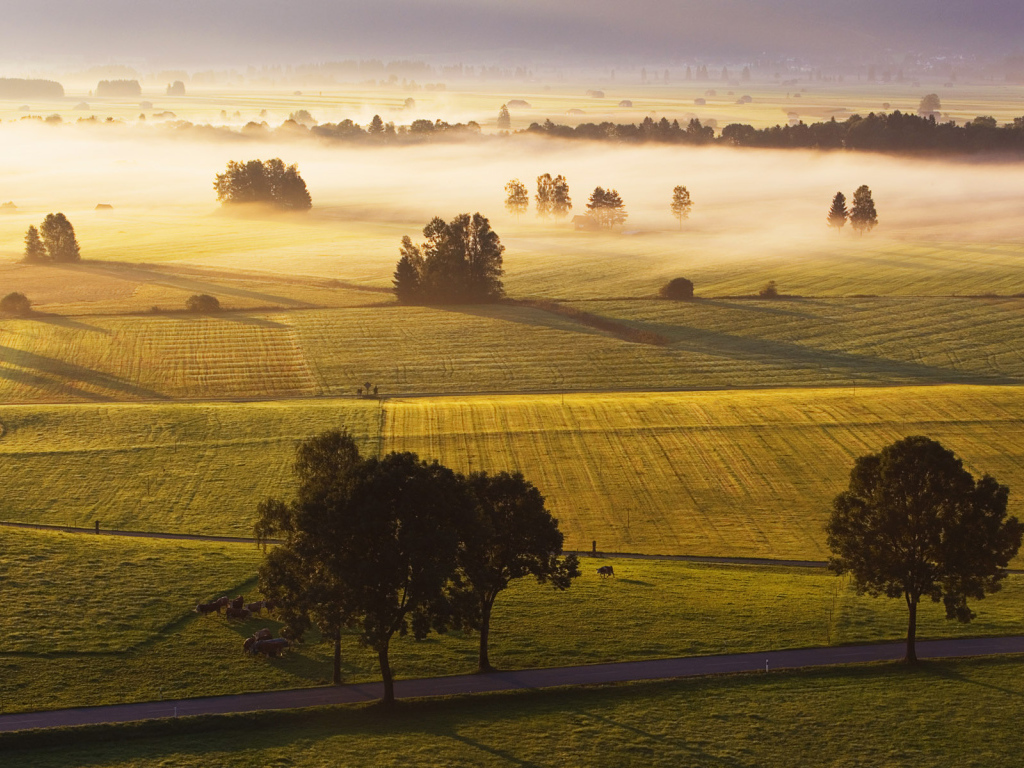 Поля в Германии
