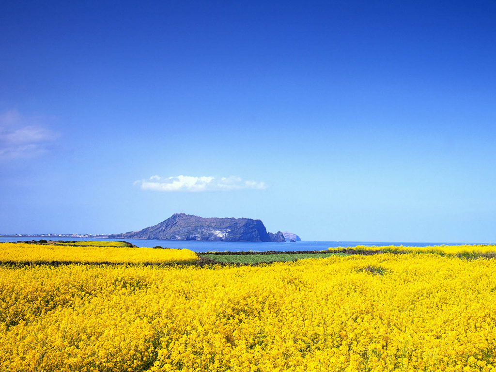 Природа Кореи