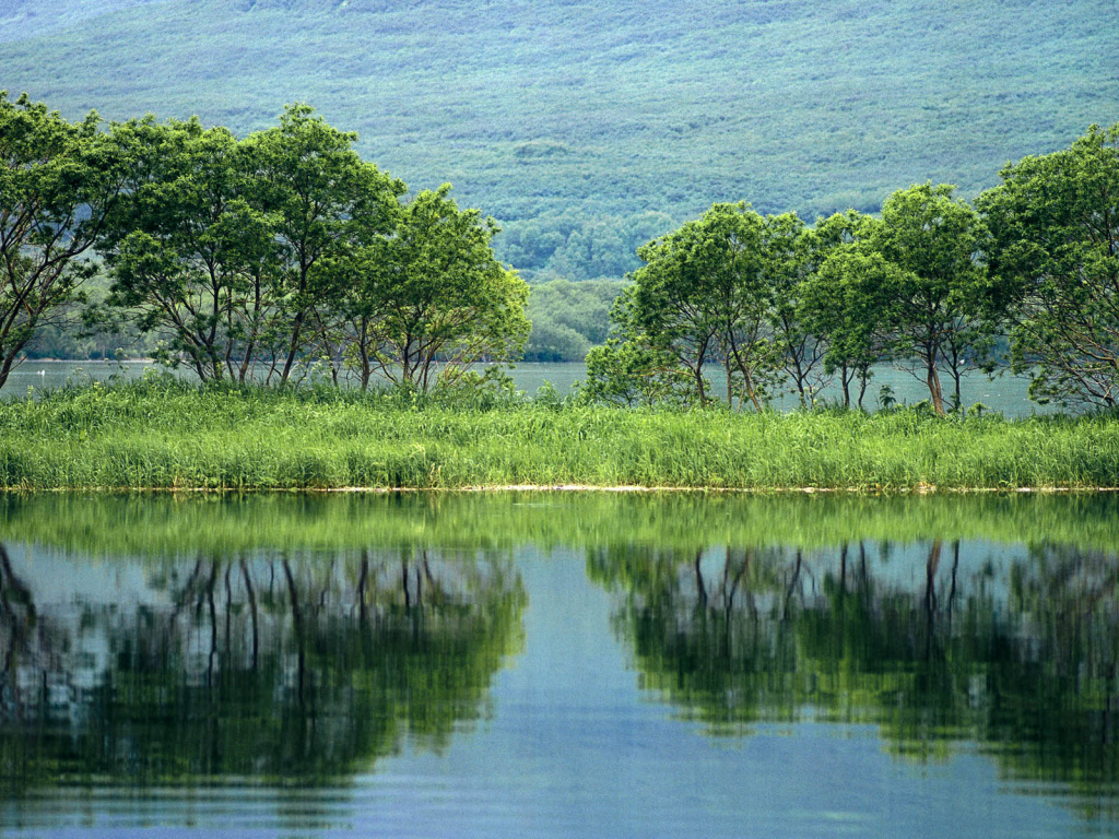 Природа России