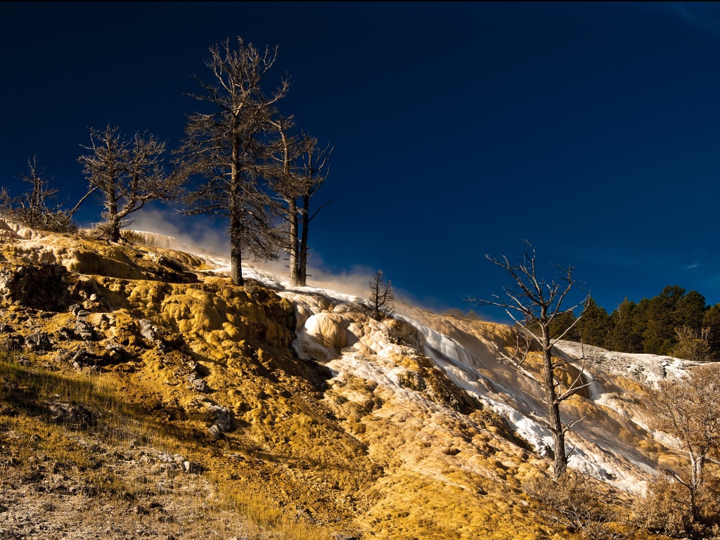 Природа в Йеллоустоуне США